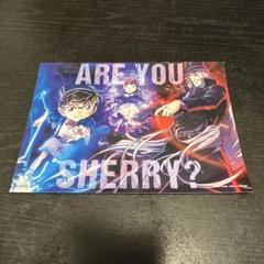 名探偵コナン　黒鉄の魚影　入場特典