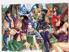 フェアリーテイル原画展 クリアファイル 6枚セット 新品未使用未開封 Amazon.co.jp: FAIRY TAIL フェアリーテイル 版画展 クリア