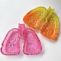 akiho様専用】レジン 肺の形の灰皿（肺皿）・小物入れ - メルカリ