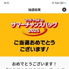 マクドナルド サマーチャンスパック 2025 グッズ4点セット