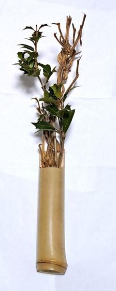 大螺造掛け花生け 大螺造掛け花生け