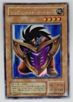 【鑑定品　psa10】　極美品　世界109枚　貫通シク　ビッグシールドガードナー 鑑定品 psa10】 極美品 世界109枚 貫通シク ビッグシールド