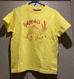 クレイジーケンバンド CKB Gold Fish Bowl Tシャツ Sサイズ