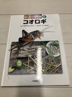 はじめての飼育 5 (コオロギ) 本間 正樹 はじめての飼育 (5)