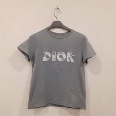 DIOR ディオール Tシャツ グレー レディース アーシャム ロゴ おしゃれ