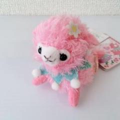 カリブのベイビーアルパカッソ　アルパカキーホルダー　ぬいぐるみ　全４種 ≪8月の新商品≫ベイビーアルパカッソフルーツ☆アミューズ