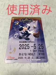 記念切符】リゾートライン 東京ディズニーリゾート30周年記念