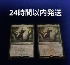 復活した精霊信者、ニッサ 2枚 (1枚ホイル) mtg - メルカリ