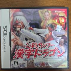 【動作確認済】必殺カンフー 漢字ドラゴン Nintendo DS