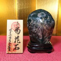 （321）根尾の菊花石赤菊、白菊2点セット 321）根尾の菊花石赤菊、白菊2点セット