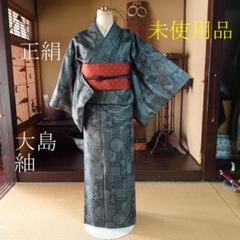 2025年最新】大島 着物 未使用の人気アイテム - メルカリ