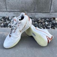 Nike LeBron 21 “Akoya”
