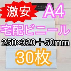 宅配ビニール30枚