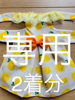 フェレット 小動物 服(ハンドメイド)