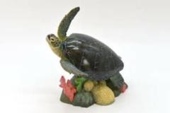 naturetales  アオウミガメ　コールドキャスト製　フィギュア　海洋堂 naturetales アオウミガメ コールドキャスト製 フィギュア 海洋
