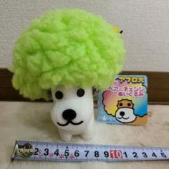 San-X:客付き】アフロ犬 (トリノス犬)/(スーパーリーゼント犬