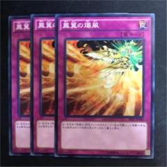 遊戯王 鳳翼の爆風 英語 Cp スーパー Www Laphakhabar Com