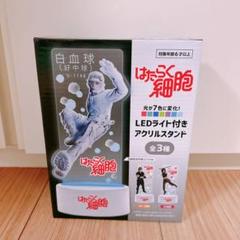2025年最新】はたらく細胞 アクリルスタンド ラウンドワンの人気