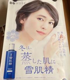 2025年最新】新垣結衣 雪肌精 ポスターの人気アイテム - メルカリ