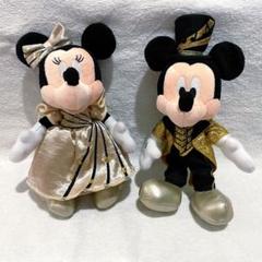マジカルミュージックワールド　ミッキーとミニー　ぬいぐるみバッジセット マジカルミュージックワールド ミッキーとミニー ぬいぐるみ