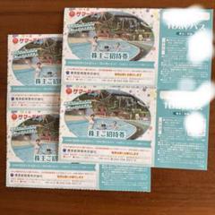【4枚セット】東京サマーランド 株主優待 1Dayパス ご招待券 東京サマーランド株主ご招待券1Dayパス 4枚セット☆東京都競馬