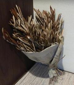 ドライオリーブスワッグ