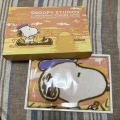 気まぐれ値下げ！非売品❤️日本生命、スヌーピーオリジナルペアトランク 気まぐれ値下げ！非売品❤️日本生命、スヌーピーオリジナルペア