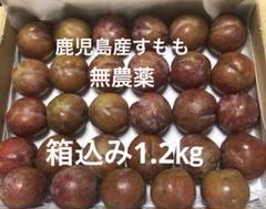 2025年最新】無農薬プラムの人気アイテム - メルカリ
