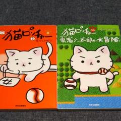 猫ピッチャーの中古 未使用品を探そう メルカリ