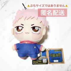 2025年最新】呪術廻戦BIGぬいぐるみの人気アイテム - メルカリ