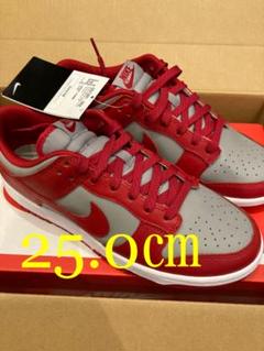 NIKE ダンク ロー ネバダ 25.0㎝