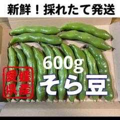 m71918977538_1.jpg?1714402339