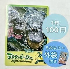 2025年最新】鳥羽水族館購入の人気アイテム - メルカリ