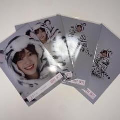 櫻坂46 生写真　田村保乃　どうぶつ着ぐるみ　コンプ