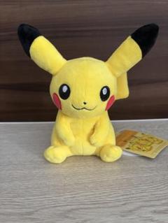 ポケモン - 専用出品  ★★ マイピカチュウ ★★ 匿名配送【My PIKACHU】マイピカチュウ ポケモンセンター 限定品