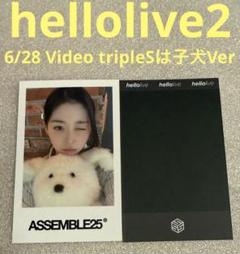 tripleS Assemble25 hellolive2 子犬 カエデ