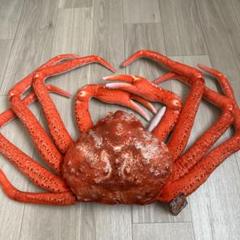 海鮮市場 カニぬいぐるみ リアル BIGぬいぐるみ - メルカリ