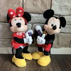 ミッキー　ミニー　ぬいぐるみ　ディズニーストア　30周年