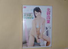 DVD 北野四葉　よつばとシャンプー