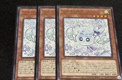マルチャミー・フワロス 3枚