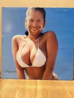 Aphex Twin - WINDOWLICKER レコード
