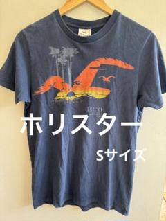 Hollister ホリスターネイビー Tシャツ Sサイズ　シングルステッチ