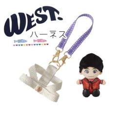 即購入可*.꒰A.H.O ツアー濱田くん衣装꒱.*WEST. ちびスト ちびぬい WEST. AWARD ちびスト 濵田崇裕 ちびぬい 濱田崇裕 濵ちゃん