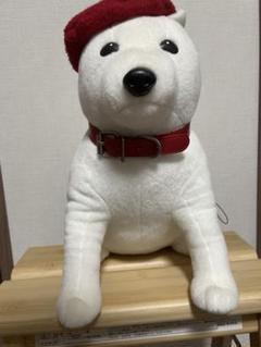 SoftBank ぬいぐるみ 白い犬お父さん - メルカリ