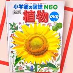 [新版]　小学館の図鑑NEO　植物