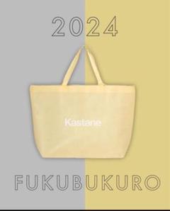Kastane公式【 2024福袋】 “ GOLD ”未開封 カスタネのサムネイル