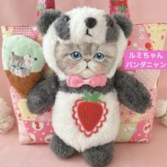 m*e様 オッドアイぬいぐるみパンダちゃん　コヤンイサムチョン　ふっくらトートバ y*i様 ルミちゃんぬいぐるみパンダニャン コヤンイサムチョン