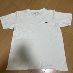 ラコステ　Tシャツ