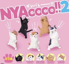 最安値】ねこのかぎしっぽニャオワンエチケットジェル3本セット