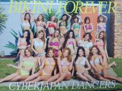 初回限定盤 CYBERJAPAN DANCERS CD Summertime Amazon.co.jp: Summer Summer(通常盤): ミュージック